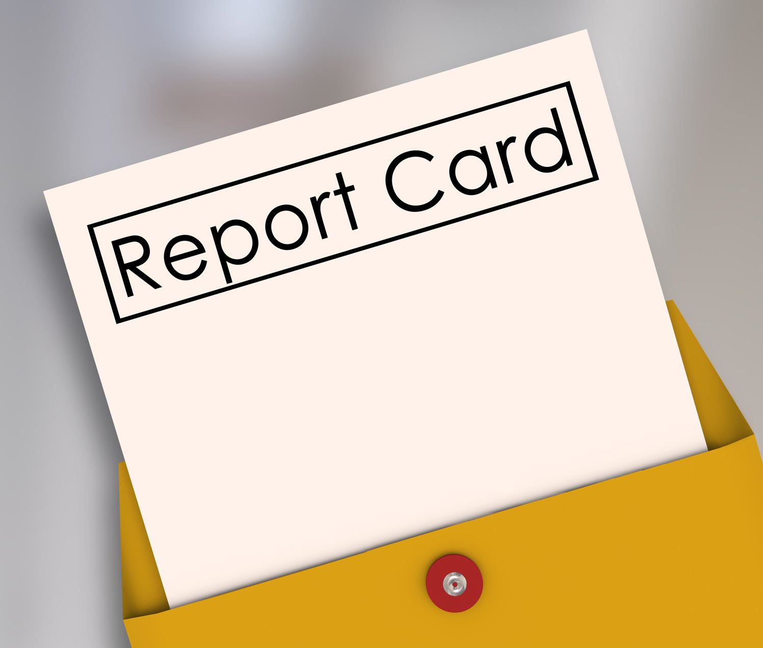  Parent Information for the Elementary Report Card